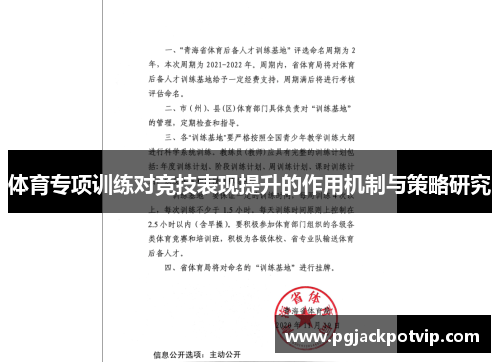 体育专项训练对竞技表现提升的作用机制与策略研究