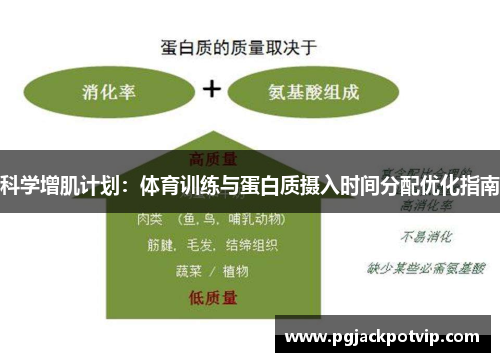 科学增肌计划：体育训练与蛋白质摄入时间分配优化指南